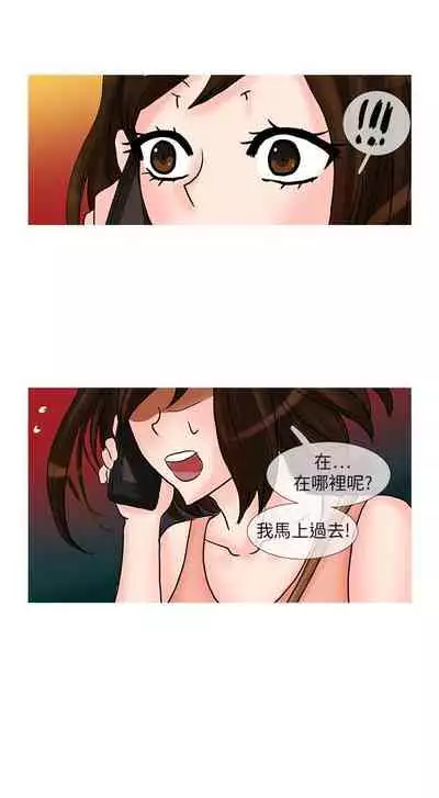 小野貓馴服手冊