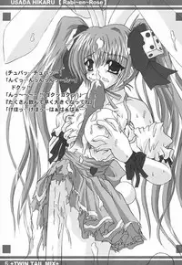 Twin Tail Mix (Various)