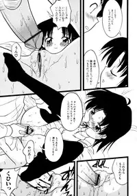 [yeahhhy tomii] Meconopsis