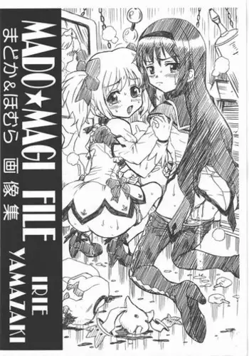 (COMIC1☆5) [RAT TAIL (IRIE YAMAZAKI)] MADO MAGI FILE - Madoka & Homura Gazoushuu (Puella Magi Madoka Magica)