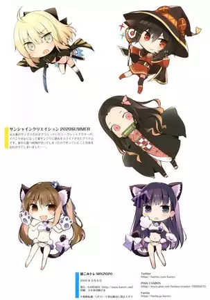 Chou comitore MIX2020