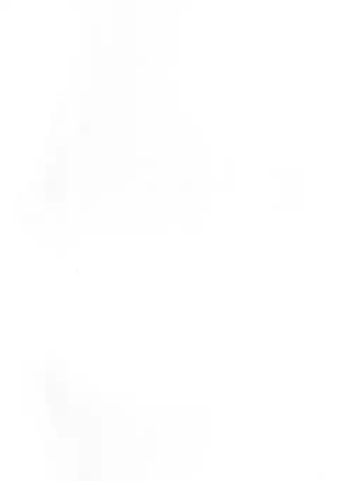 Arisu-chan to dokidoki shitai!