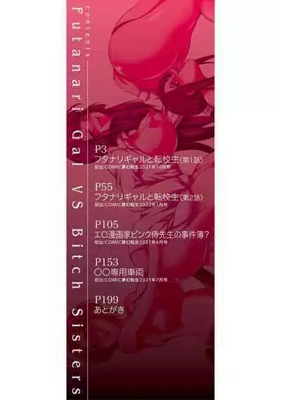 Futanari Gal VS Bitch Shimai