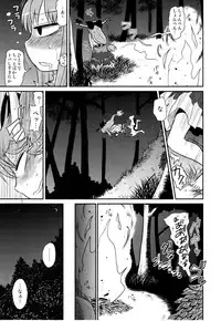 (C83) [Fugodoku (Katou Fuguo)] SURUDAKE Go. (Touhou Project)