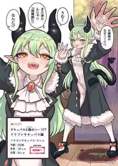 Succubus no Sensei FILE.04 Dragon Succubus-hen