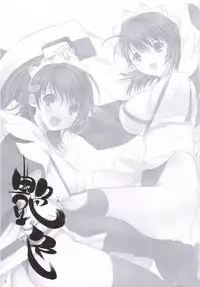 (C71)[Nippon Teikoku Toshokan (Kiya Shii)] Iroiro (Samurai Spirits)