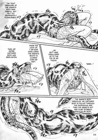 [Sumomo Dou] Bibi Anbetsu 32 [English] [Lunatic]