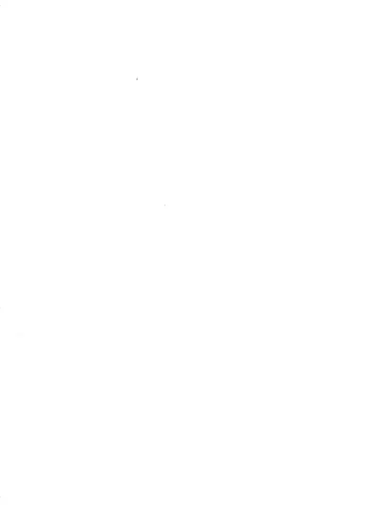 Aoi inu no Sainanna Ichinichi