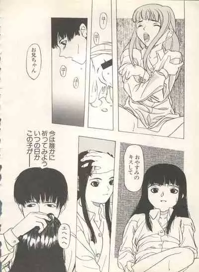 Shin Bishoujo Shoukougun 4 Houou hen