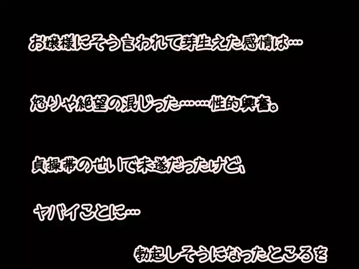 Josou Maid ni Teisoutai o...