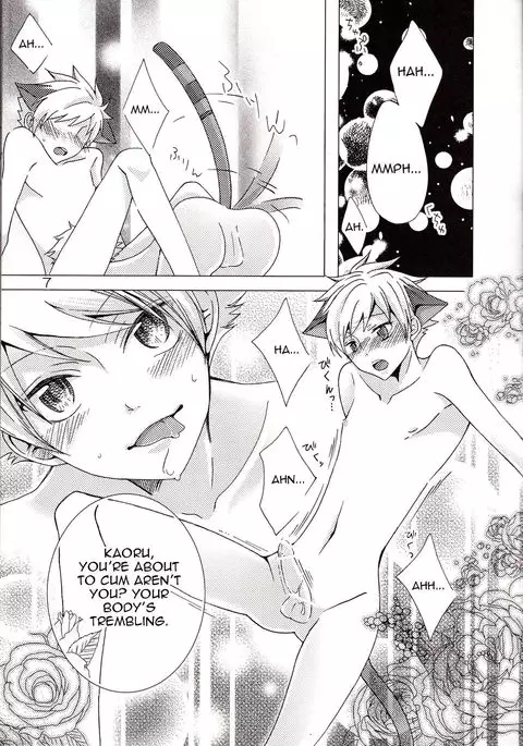 -Shokushu- Nyan Nyan Panic | -Tentacles- Mew Mew Panic |