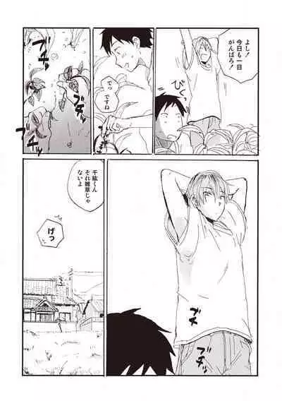 Hatomugi Batake de Tsukamaete - The Catcher in the Hato