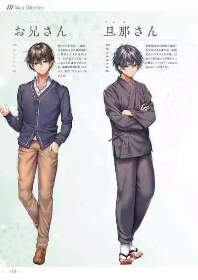 Amakano 2+ Visual Fan Book