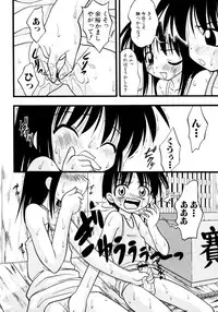 [yeahhhy tomii] Meconopsis