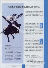 [XUSE]Seinarukana The Spirit of Eternity Sword 2 Material Book