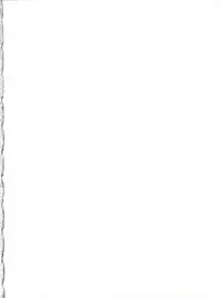 (C47) [MEBI-KEN (Various)] Denkou (Various)