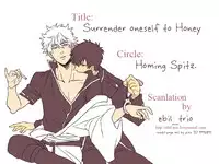 Surrender oneself to Honey (Gintama)
