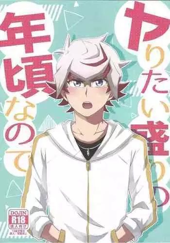 Yaritai Mori no Toshigoro nanode