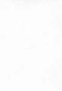 (CR27) [PHOENIX PROJECT (Various)] Okosama Lunch 4 (Various)