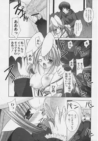 [ShikigamiAzuma]God Chome cat