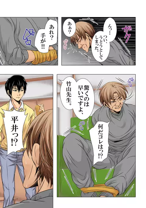 Sukina ko, Rape, Fukushuu, Netori