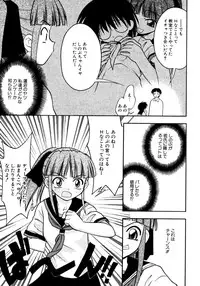 [yeahhhy tomii] Meconopsis