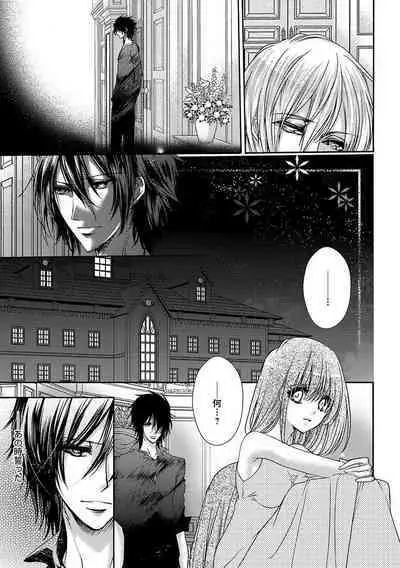 鬼畜兄弟の悶絶調教～私はいいなり奴隷～