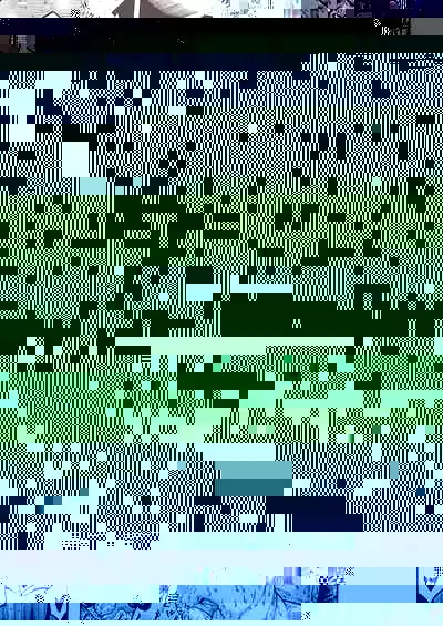 Buta to Present | Pig And Gift