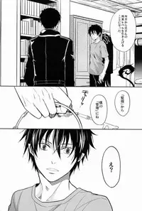 (C81) [FIZZCODE (Satonishi)] Gnitaheidr (Ao no Exorcist)