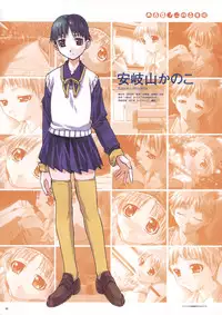 Natural 2 Duo Visual Fan Book