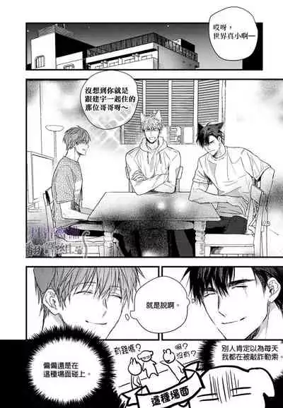 巴夫洛夫的大貓貓 01-14