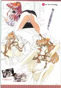 (一般画集) [F&C] バーチャコール シリーズ設定原画集