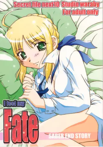 (C66) [Studio Wallaby (Takana Yu-ki)] Secret file next 10 - I feel my Fate (Fate/stay night)
