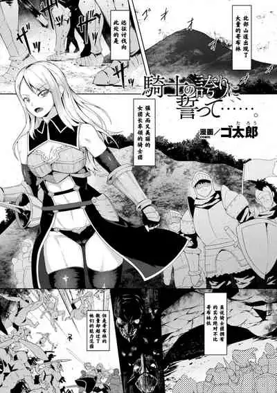 Kishi no Hokori ni Chikatte…….