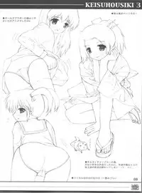 (C68) [SANGENKAIDOU (Mifune Yatsune)] KEISUHOUSIKI 3 (Various)