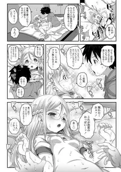 Soutaisei Virgin Theory