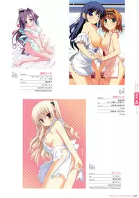 Hadaka Apron Visual Collection