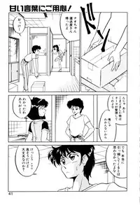 [Mizuki Hitoshi] Satellite Paradise