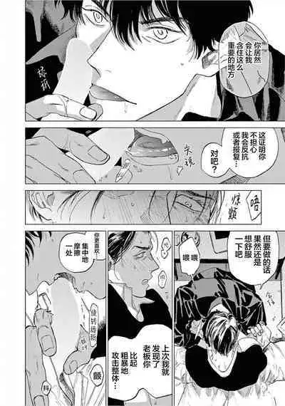 TOKYO Hikari Auction｜东京光之拍卖会