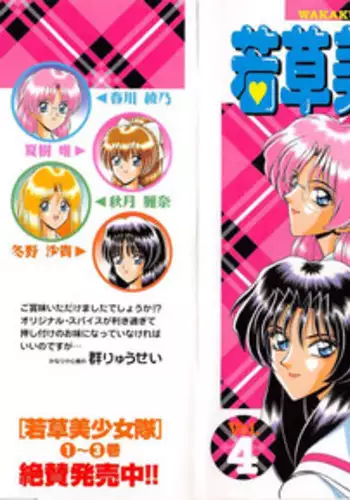 [Gun Ryuusei] Wakakusa Bishoujotai vol.4