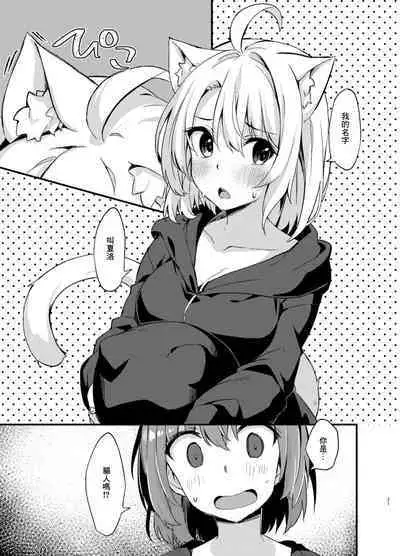 Dodome-ke no Seikatsu | 土留家的生活