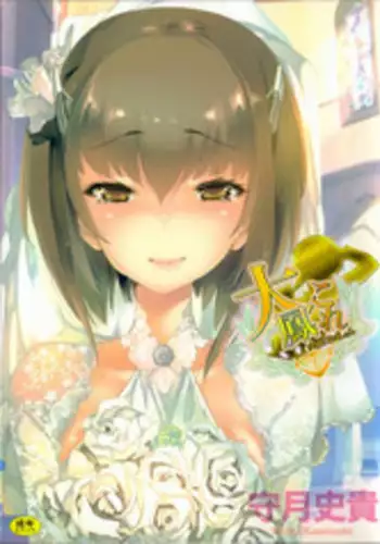 (C92) [Kamishiki (Kamizuki Shiki)] Taihou Collection (Kantai Collection -KanColle-)