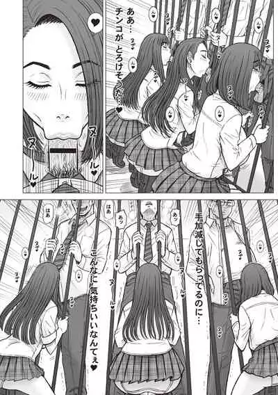 Shiritsu Risshin Gakuen -Seishori Iin to, Sono Oshigoto.