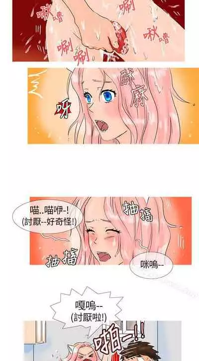 小野貓馴服手冊