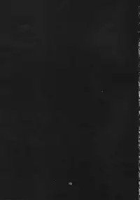 (C73) [Z-Tabukuroneko House (Gyonikun)] Runarian (Seto no Hanayome)