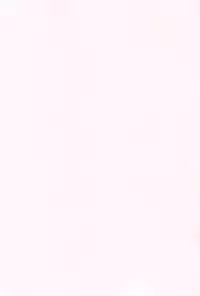 [Mutsutake] Soto no Kuni no Yome