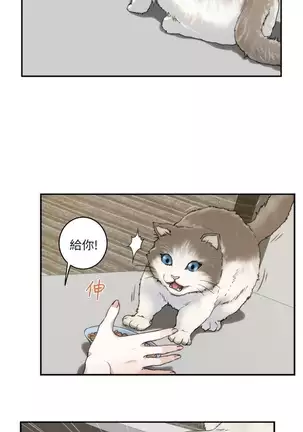 （週5）S-Mate 1-75 中文翻譯（更新中）