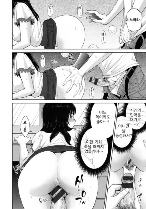 Hamedori l 하메도리