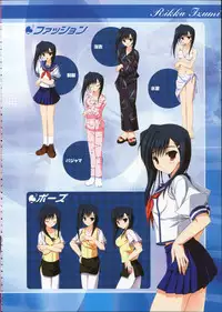 Primitive Link Visual Fanbook