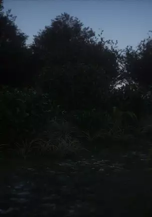 - Elf Slave 7-Double Trouble